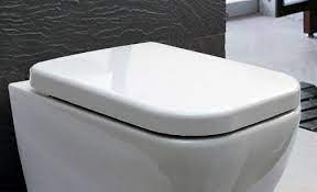 Toilet Seat Replacement For Hung Toilet