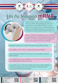 รู้จัก กับ วัคซีนชนิด mRNA - โรงพยาบาลจุฬาลงกรณ์ สภากาชาดไทย