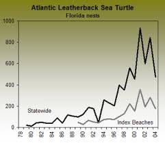 Species Recovery Leatherback Sea Turtle