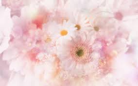 Please contact us if you want to publish a cute pink flower wallpaper on our site. Cute Flowers Wallpapers Wallpaper Cave