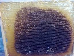 Résultat de recherche d'images pour "apiculture vieux cadre"