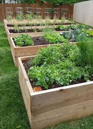 Raised Garden Garden Planter Boxes