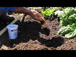 how to add coffee grounds to your