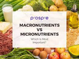 macronutrients vs micronutrients what