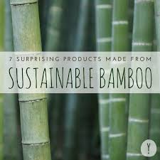 7 Surprising Products Made From Sustainable Bamboo Yogi