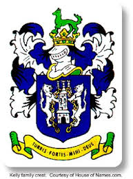 irish family crests the meaning of