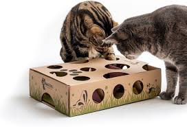 7 interactive toys to enrich your cat s