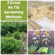 3 great no till gardening methods