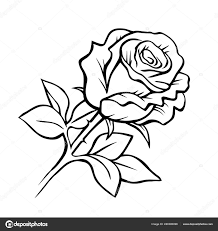 black white rose hand drawn plants