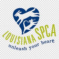We appreciate your interest in adopting an animal from the oahu spca. Dog Society For The Prevention Of Cruelty To Animals Louisiana Spca Pet Adoption Corporate Elderly Care Transparent Background Png Clipart Hiclipart
