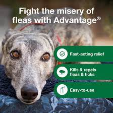 for dogs flea and tick treatment