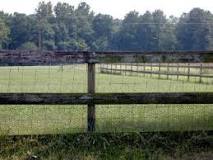 what-kind-of-fence-do-i-need-for-sheep