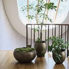indoor planters terrariums west elm