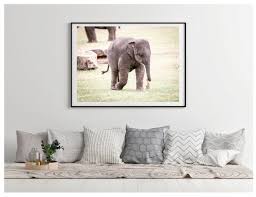 baby elephant photography print set of