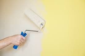 Professional Wall Painting Roller
