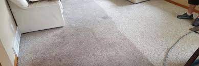 invercargill carpet cleaning rug