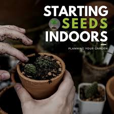 Starting Seeds Indoors Planning Your
