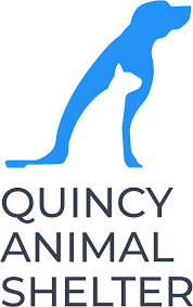 Cat 2021 exam center highlights. Home Quincy Animal Shelter