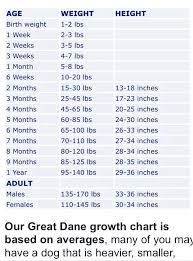 Complete Pregnancy Growth Chart Month By Month To Month