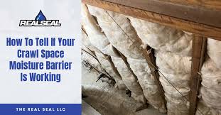 Your Crawl Space Moisture Barrier
