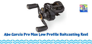 Abu garcia pro max combo. Abu Garcia Pro Max Review 2021 Tested And Approved
