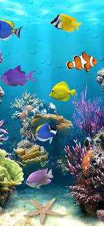 best aquarium iphone hd wallpapers