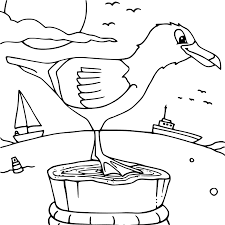 A seagull is a small bird with a contrasting color. Pin On Birds Coloring Pages