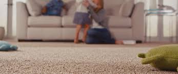 sykesville md carpet cleaning family