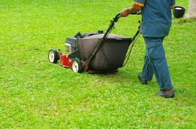 Order mowz to have your lawn mowed anytime, anywhere! Lawn Care Maintenance Lawn Maintenance Companies Orlando Fl