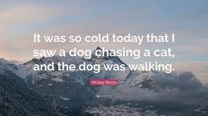 Please remember that these files are for personal use only. Mickey Rivers Quote It Was So Cold Today That I Saw A Dog Chasing A Cat