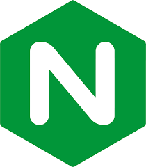 file type nginx icon for