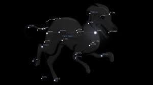 Sirius Star The Dog Star Astrology King
