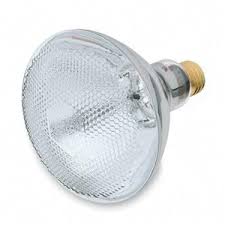 Long Life And Long Lasting Incandescent And Led Light Bulbs Conserv A Store