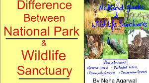 national park wildlife sanctuary