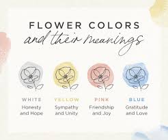 6 apology flowers the meaning behind