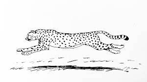 Draw a triangular nose in the middle below the eyes. How To Draw A Cheetah Running Step By Step Youtube