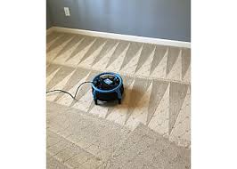 dva carpet cleaning in palmdale