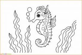 Sebgaian besar hewan yang bertubuh transparan adalah ubur ubur. 14 Gambar Sketsa Rumput Laut