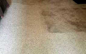 carpet tile upholstery biohazard clean