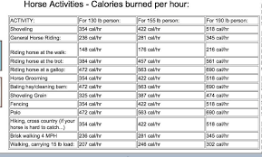Calories Burned Per Hour Doing Horse Activities The