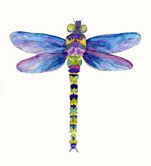 Dragonfly Ilration Deborah League