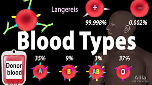 Blood Types Blood Group Systems And Transfusion Rule Animation