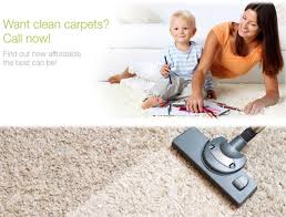 ezydry carpet cleaning