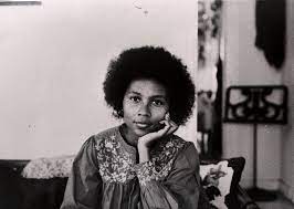 Author, activist bell hooks remembered for important works