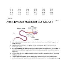 We did not find results for: Buku Mandiri Ipa Smp Kelas 9 Ix K13 Soal Jawaban Kurtilas Shopee Indonesia
