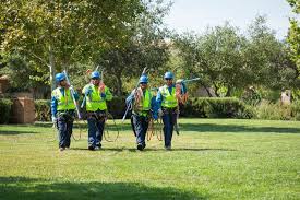Before calling the arborist service near me for land clearing service you should make sure that the workers have the correct license and experiences. Boston Ma Tree Care