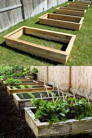 Wooden Box For Growing Vegetables