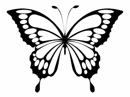 Coloriage papillon : 40 dessins à imprimer gratuitement