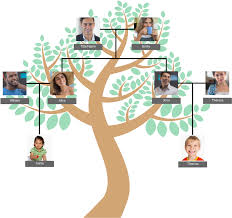 basic family tree family tree template