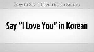 how to say i love you learn korean